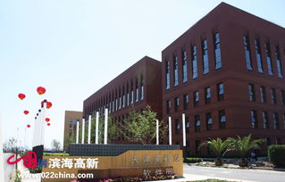 軟件企業337家領跑市場，濱海新區引領全市軟件外包服務新篇章